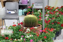 اولین مجتمع آموزش مهارت پرورش گل و گیاه کشور در قزوین افتتاح می‌شود